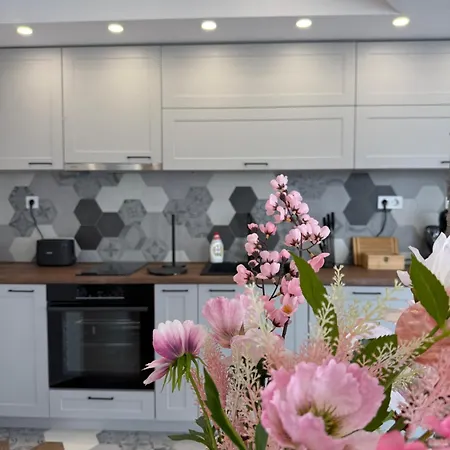 Gorna Banya Luxury 아파트 *
