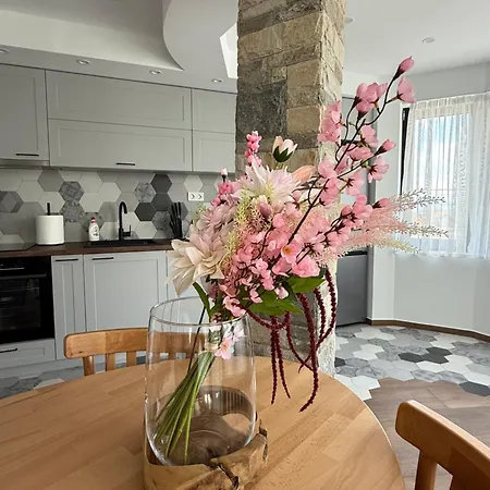 Gorna Banya Luxury *